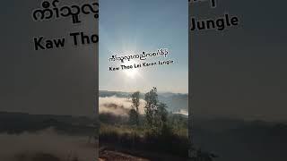 #KawThooLeiKareJungle #ကီၢ်သူလ့ၤကညီကစၢၢ်ခိၣ်