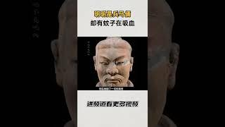 明明是兵马俑却有蚊子在吸血#知识 #趣闻 #历史