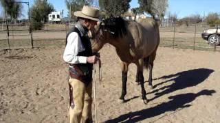 Mike Thomas & Buckshot Day 2 Building Trust & Confidence