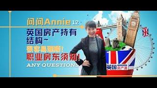 问问Annie12 英国房产持有结构 职业房东须知！