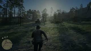 Does Red Dead Redemption 2 Run At 4k On PS5 Pro?