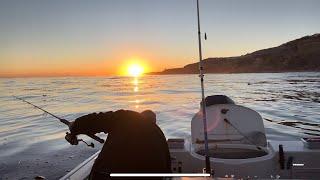 Pescando en palos verdes