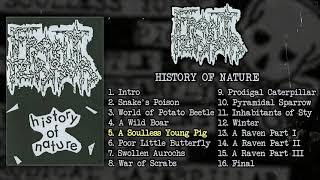 Front Terror (pre-Dead Infection) - History of Nature MC FULL DEMO (1990 - Grindcore / Death Metal)