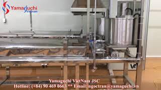 Fresh pho noodle making machine system 2 line