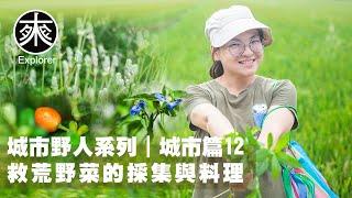 台灣野菜採集與料理，銀花莧、水蕹菜(空心菜)、月橘(七里香)、賽葵、喜旱蓮子草、鴨蹠草(竹節菜)，環境除草劑簡易辨識法介紹，探路者城市野人｜救荒野菜-城市篇第12集