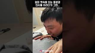 엄마 뱃속에 있는 동생과 인사를 하려다가 그만... #shorts 【체코커플】