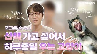 [포근상담소] ep1 | 산책나가자고 우는 아이…산책 해도 될까요?