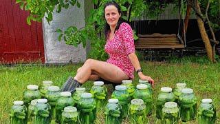 A young girl picks and sours cucumbers in the village