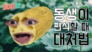 동생이 편식할 때 대처법