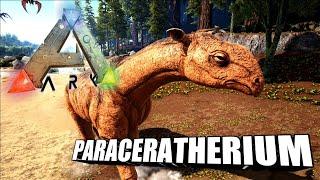 Taming A Paraceratherium | Ark Survival Evolved | The Island