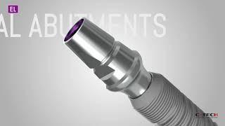 Final abutments