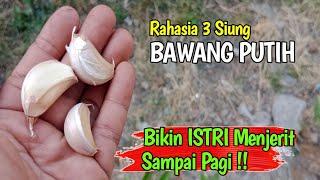 Rahasia 3 Siung BAWANG PUTIH !! Banyak Yang Belum Tahu