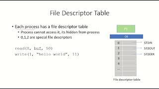 OS5 - File Descriptors, File Descriptor Table