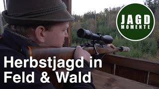 Herbstjagd in Feld und Wald | JagdMomente