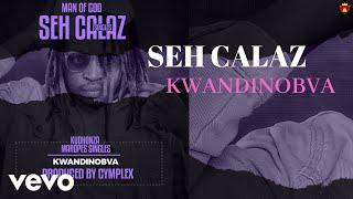 Seh Calaz - Kwandinobva (Official Audio)