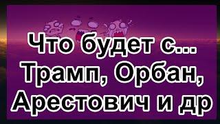 Что будет с... Трамп, Орбан, Арестович, Фицо...?