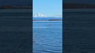 Sunny Winters Day, Mt. Hood from Columbia River Shore