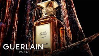 L'Art & La Matière: Les Extraits Signature - The Art of Raw: Vanille Planifolia | GUERLAIN