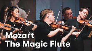 W. A. Mozart: Die Zauberflöte (The Magic Flute) arr. for strings