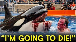 The HORRIFYING Last Moments of Orca Trainer Alexis Martinez