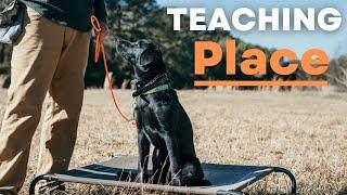 How To Teach Your Lab Puppy Place Quickly and Easily!