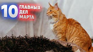 10 главных дел марта