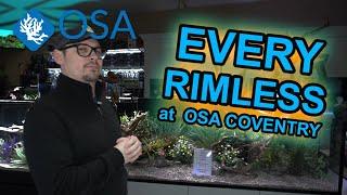 EVERY Rimless Aquarium at OSA COVENTRY!