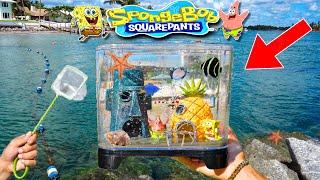 Catching SEA CREATURES For SPONGEBOB AQUARIUM!!