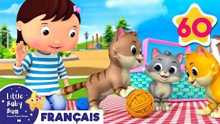 Petits animaux de compagnie | Comptines et Chansons pour Bébés | Little Baby Bum en Français