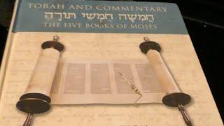 Torah Book Review- Torah and Commentary by Sol Scharfstein