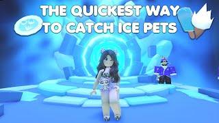 THE QUICKEST WAY to catch ICE PETS & GET BAITS! in Adopt me!