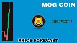 MOG COIN BIG PUMP POSSIBLE IN 2024‼️ MOG PRICE FORECAST‼️ MOG MEMECOIN PREPARE FOR BEST PERFORMING