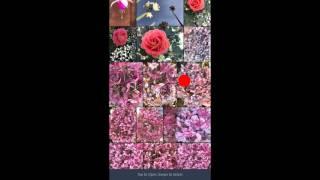An Overview of Lightroom Mobile on iOS | Adobe Lightroom