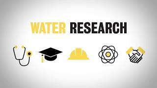 The Water Institute