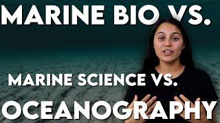 Differences Between Marine Biology, Marine Science, and Oceanography | I Want to Study the Ocean