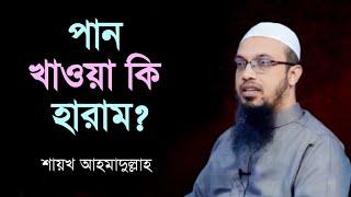 পান খাওয়া কি হারাম? Shaikh ahmadullah | islamic question answer | bdhr media