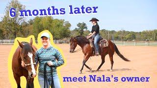 6 Months Later | Nala's Transformation - Colt starting summary || plus a giveaway announcement!