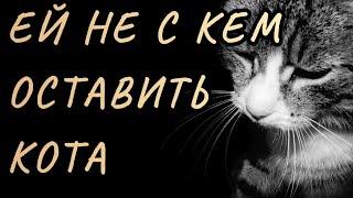 ОЧЕНЬ ТРОГАТЕЛЬНО  «Ей не с кем оставить кота» Вера Бутко