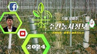 [ 주간농사정보 ] 11월 넷째주 (2024. 11. 25. ~ 12. 01.)