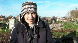 What do you want to see me grow? - Claire's Allotment part 220