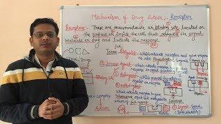 Receptor Pharmacology (Part 01) | Agonist | Inverse Agonist | Antagonist | Partial Agonist