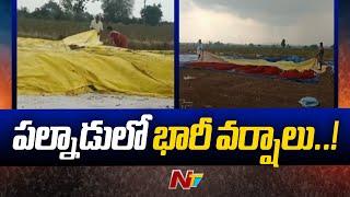 Weather Update: Sudden Rains in Palnadu District | Ntv