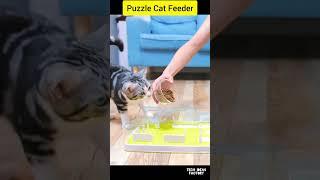 Puzzle Cat Feeder #tools #techideas #ecommerce #pet #pets #petgadgets #pethacks #technology