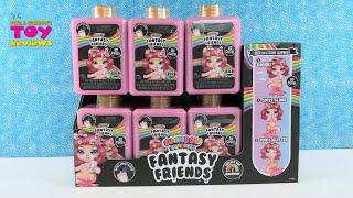 Rainbow Surprise Fantasy Friends Full Box Collector Opening Review | PSToyReviews