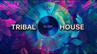 Tribal House & Progressive Underground Mantra dj mix set - Ellgin