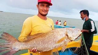 Big Fish Catching In The Sea (Amazing Big Fish)