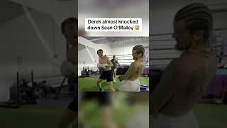 Derek almost knocked down Sean O'Malley 