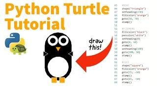 How to Use Python Turtle in Repl.it | Penguin Coding School Tutorial