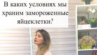 В каких условиях мы храним замороженные яйцеклетки? Как они переносят процесс заморозки/разморозки?