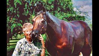 EXTRAORDINARY HORSES & LIFE CHANGERS